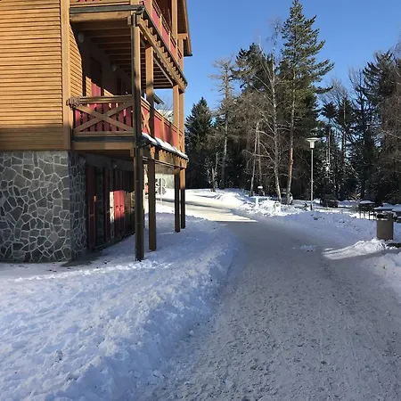 Apartment Bolfenk *