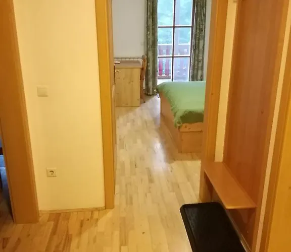 Bolfenk 호코포호르예