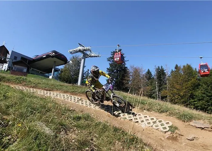 Bolfenk 호코포호르예